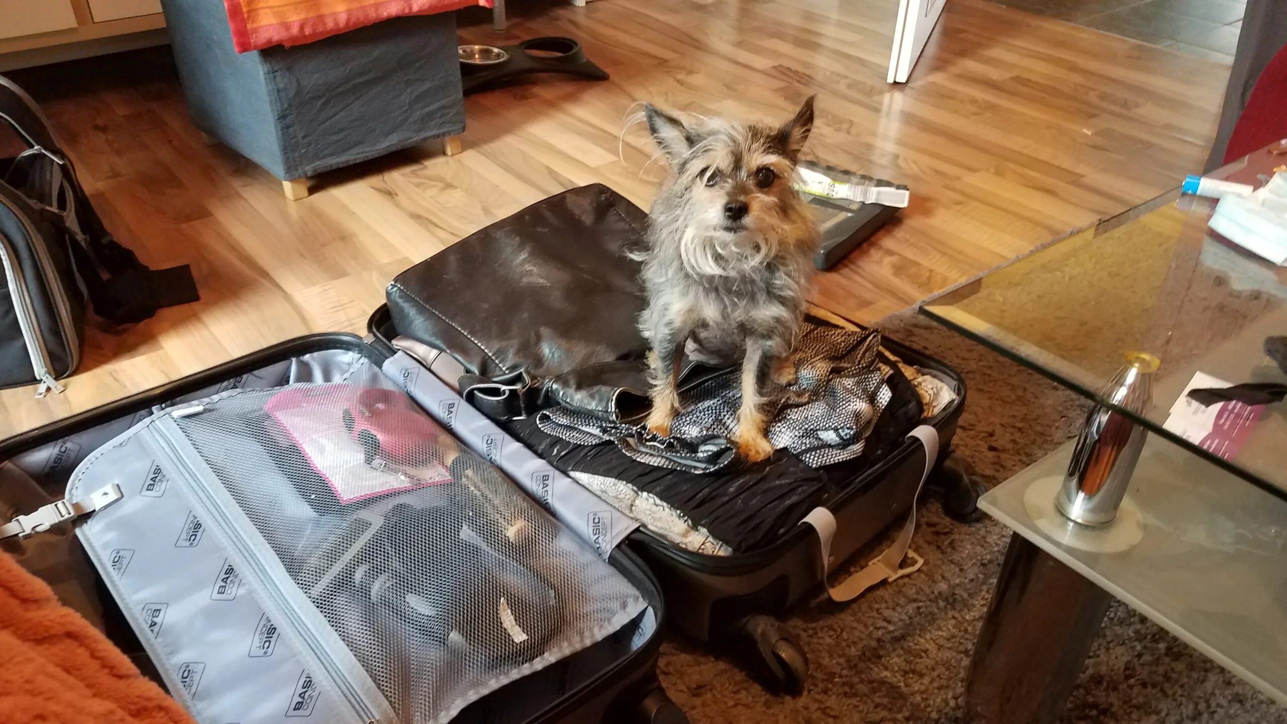 Koffer packen für den Urlaub