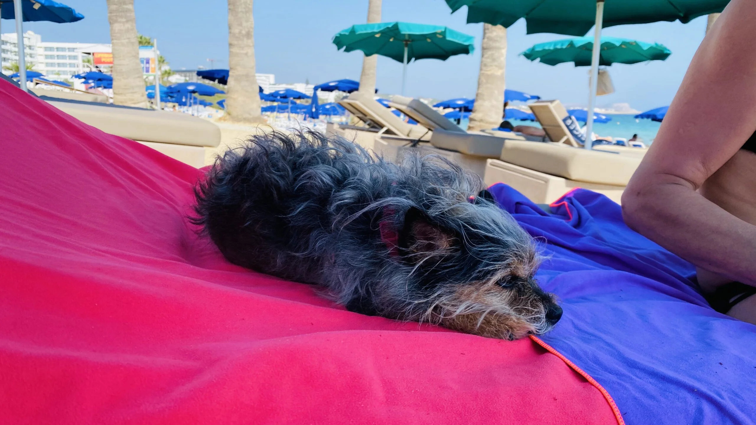 Am Meer in Zypern mit Mary