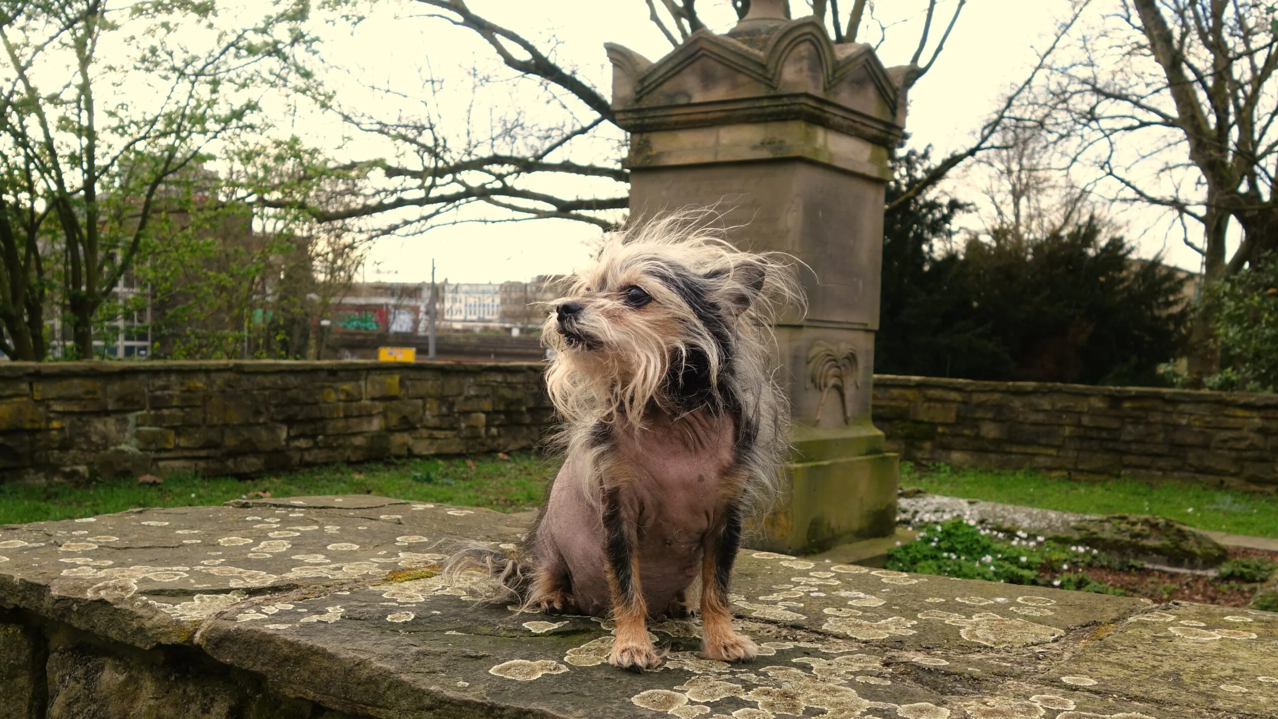 Fotoshooting im Kortum Park Bochum