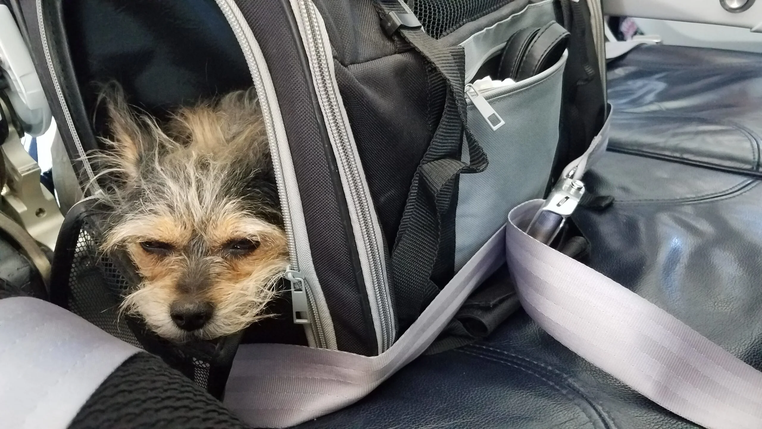 Im Flugzeug nach Zypern