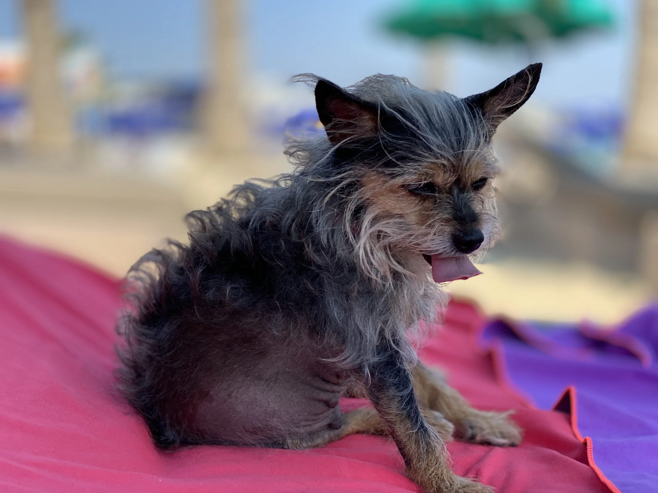 Am Meer in Zypern mit Mary