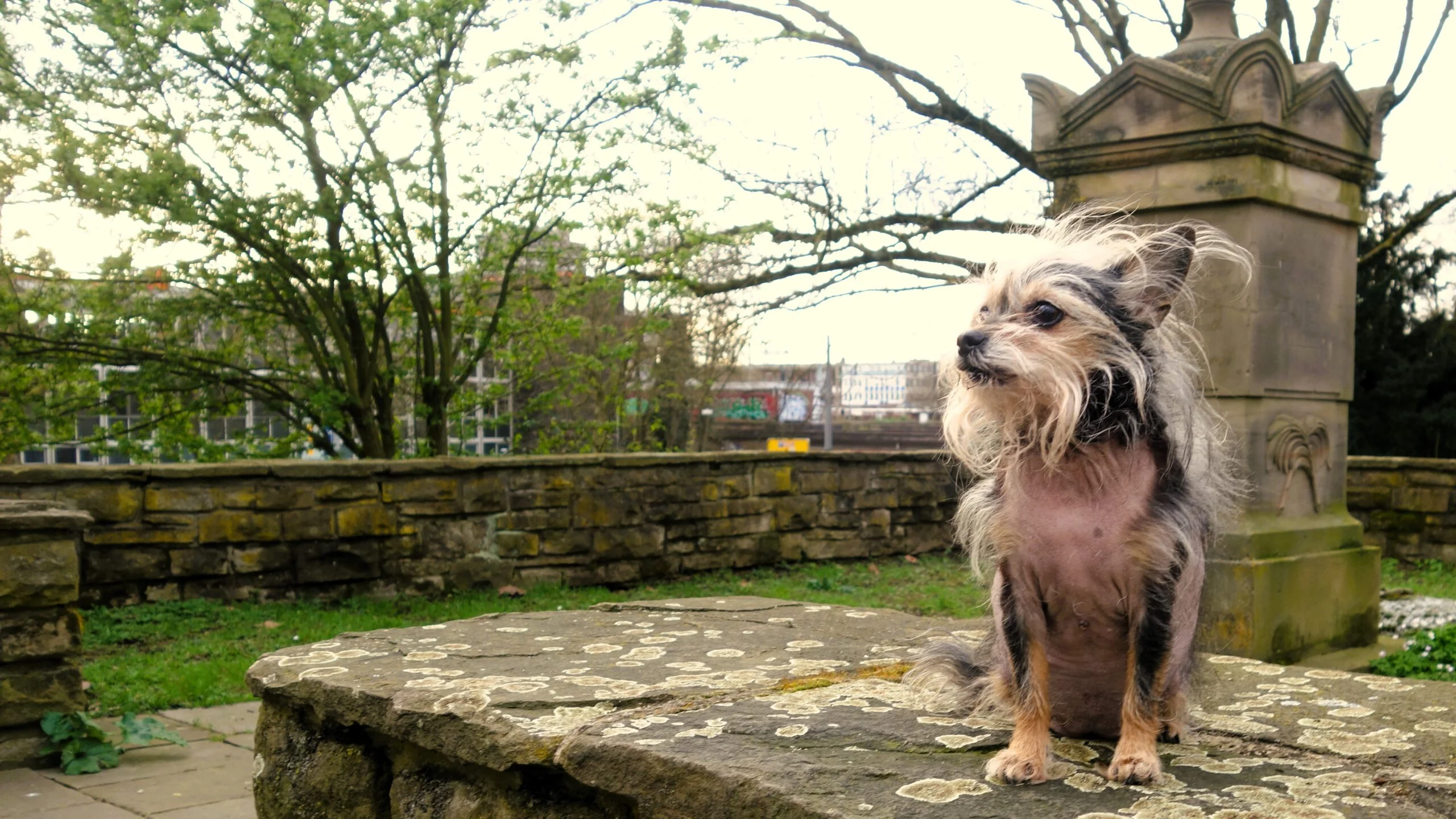 Fotoshooting im Kortum Park Bochum